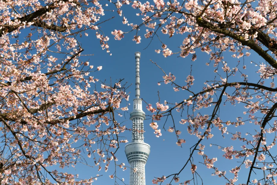 Visite de la tour Tokyo SkyTree